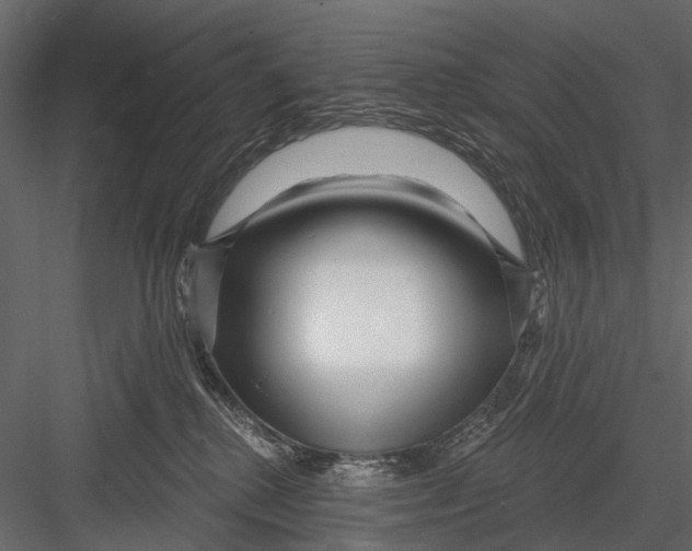 X0000082980280200702230041