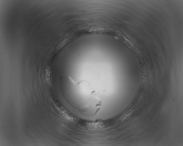X0000082980281200702230041