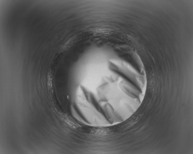 X0000082980282200702230041