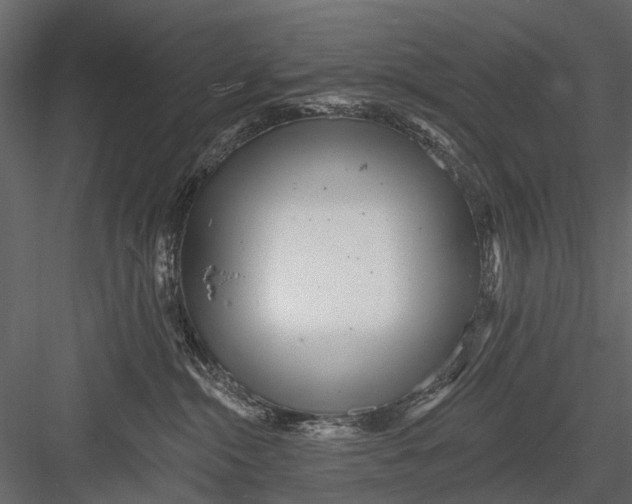 X0000082980284200702230041