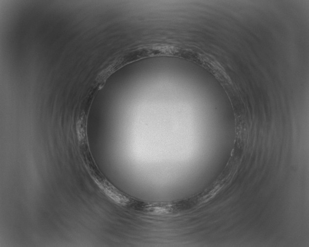 X0000082980285200702230042