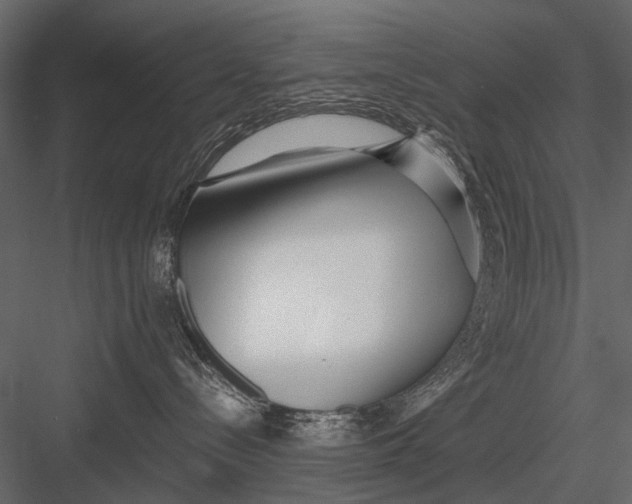 X0000082980288200702230042