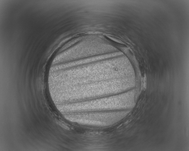 X0000082980291200702230041