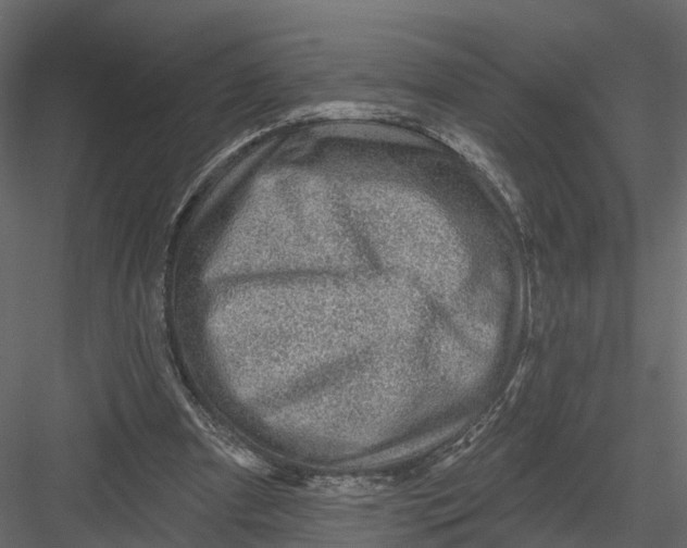 X0000082980297200702230041
