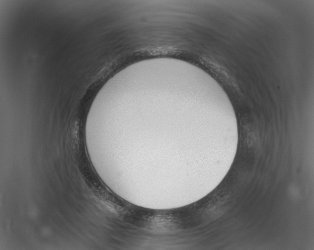 X0000082980308200702230040