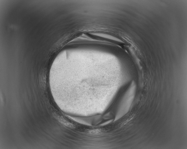 X0000082980309200702230040