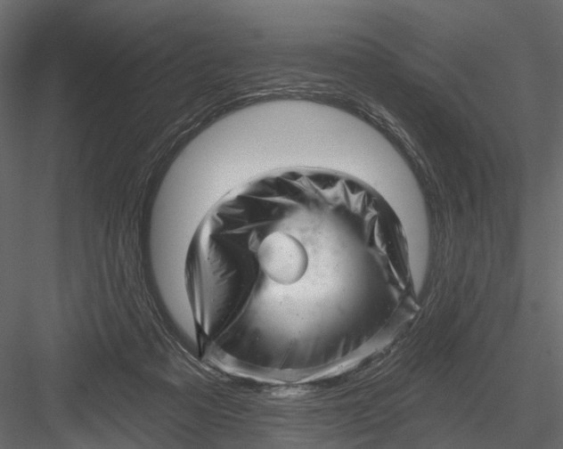 X0000082980313200702230040