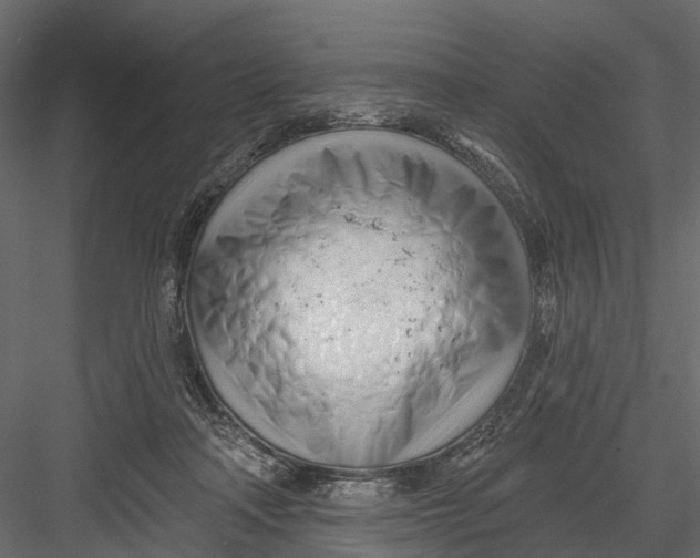 X0000082980314200702230040