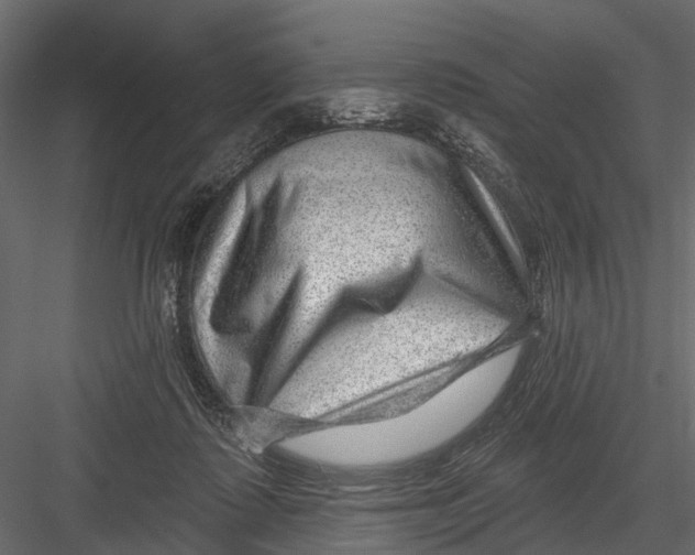X0000082980315200702230040