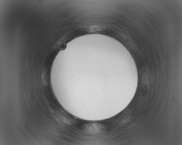 X0000082980316200702230040