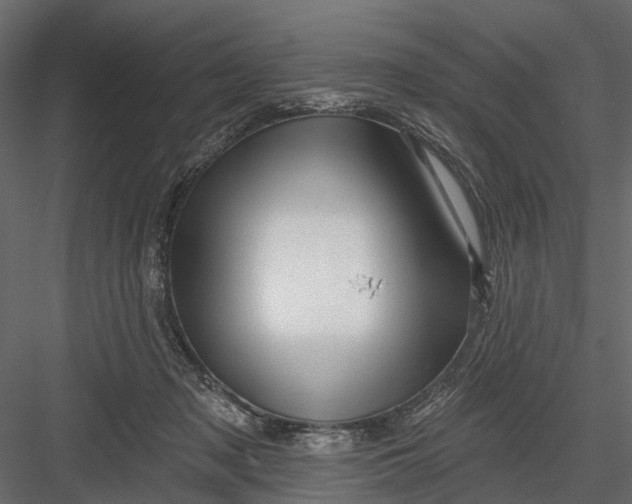 X0000082980317200702230040