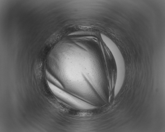 X0000082980319200702230040