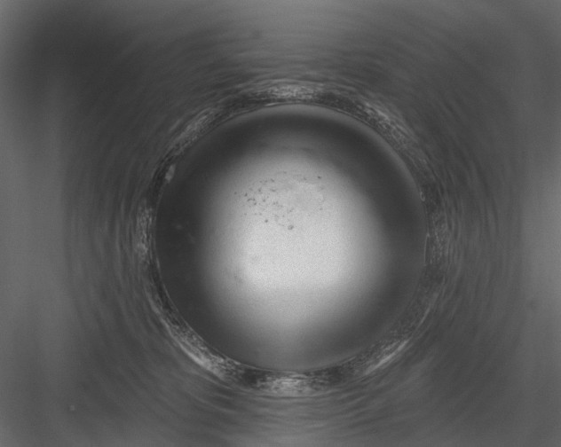 X0000082980325200702230040