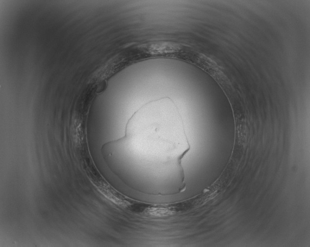X0000082980327200702230040