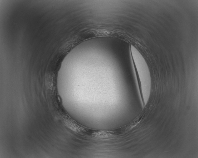 X0000082980331200702230040