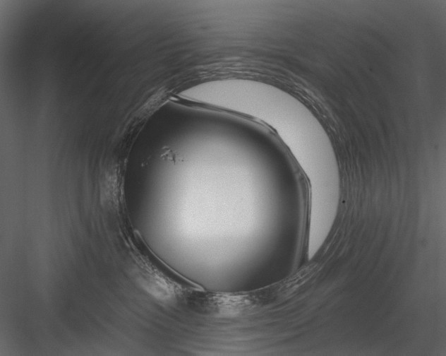 X0000082980333200702230040