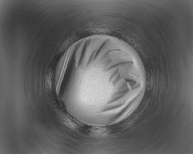 X0000082980334200702230040