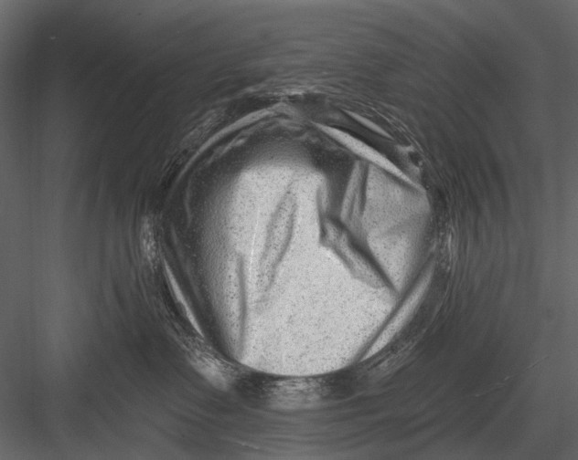 X0000082980335200702230040