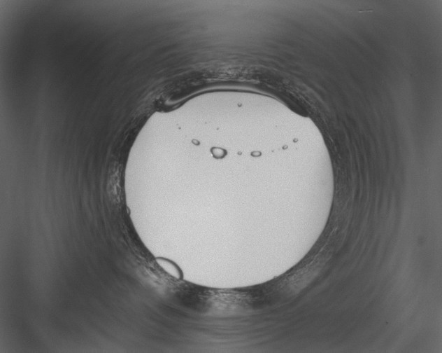 X0000082980336200702230040