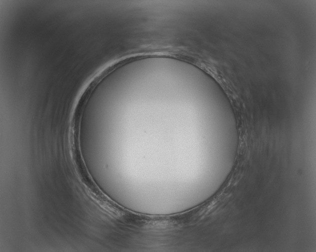 X0000082980342200702230039