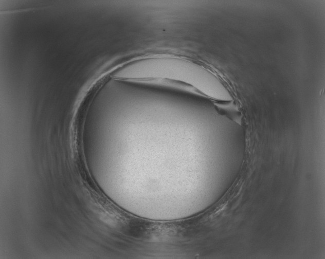 X0000082980343200702230039
