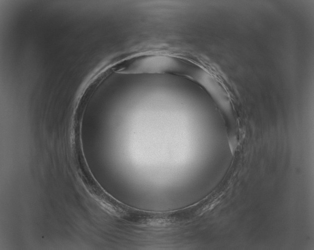 X0000082980344200702230039