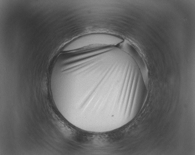 X0000082980345200702230039