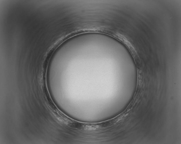 X0000082980346200702230039