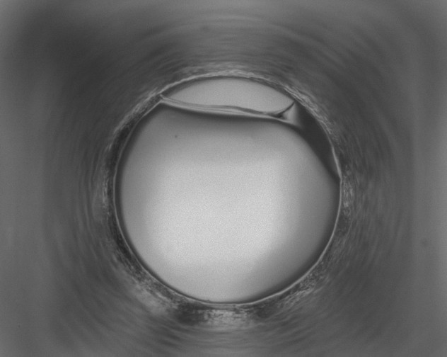 X0000082980347200702230039