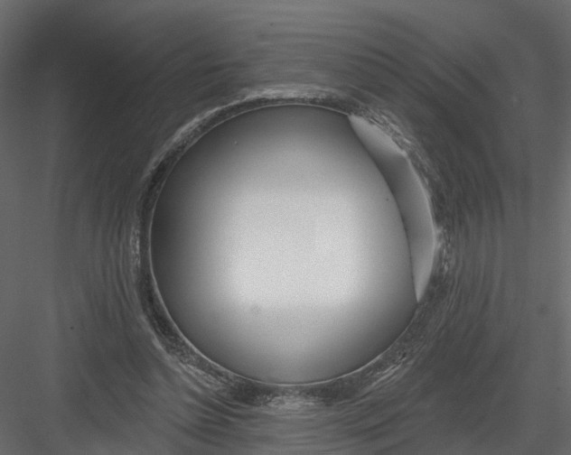 X0000082980348200702230039