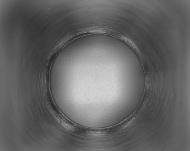 X0000082980349200702230039
