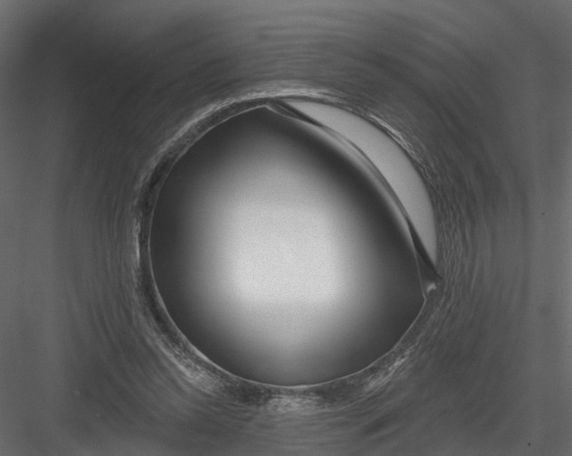X0000082980350200702230039
