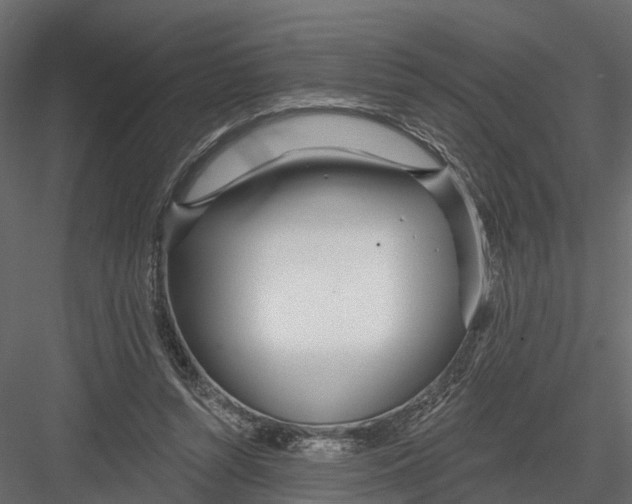 X0000082980352200702230039