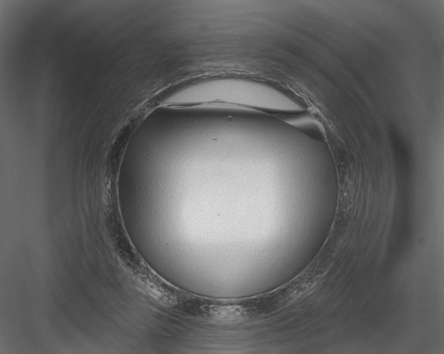 X0000082980355200702230039