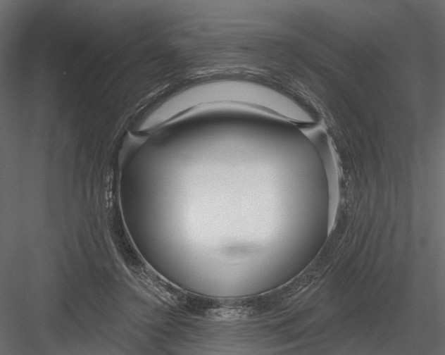 X0000082980356200702230039