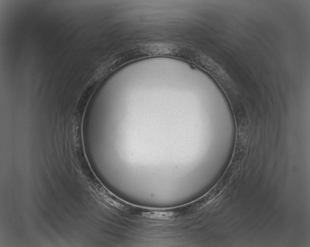 X0000082980359200702230039