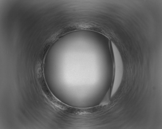 X0000082980360200702230039
