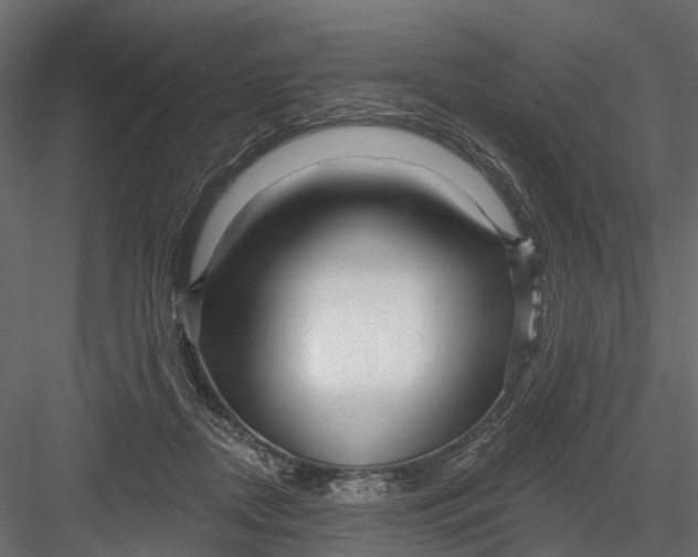 X0000082980362200702230040