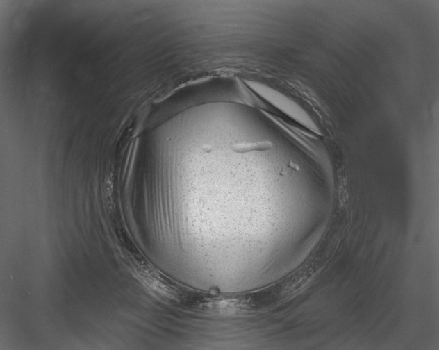 X0000082980365200702230040