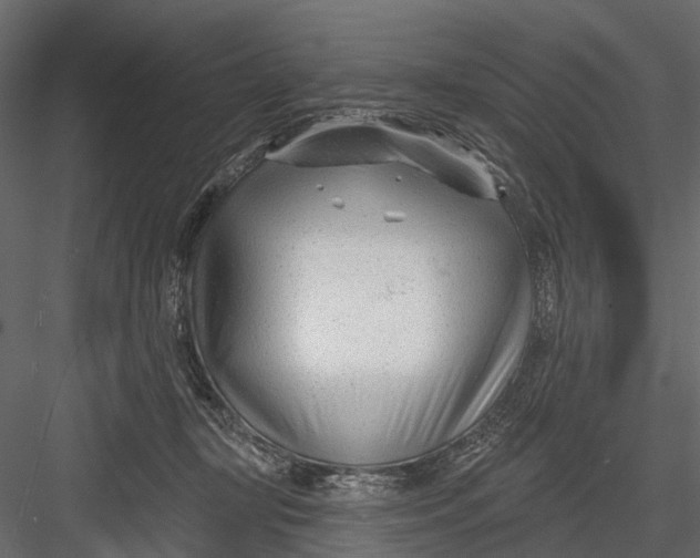X0000082980367200702230040