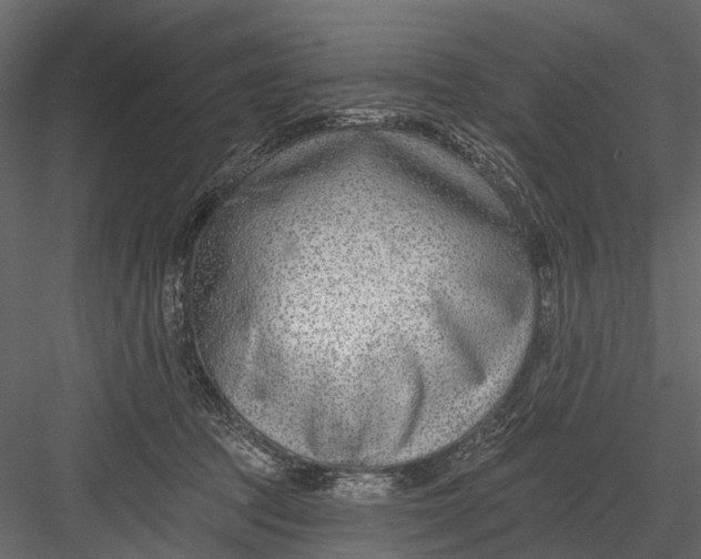 X0000082980369200702230040
