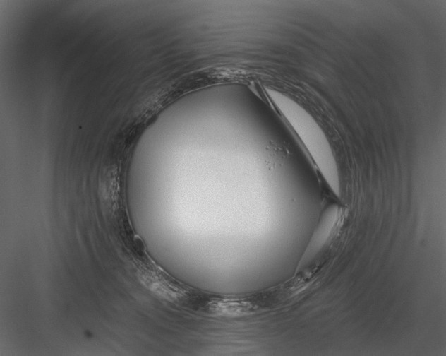 X0000082980372200702230040