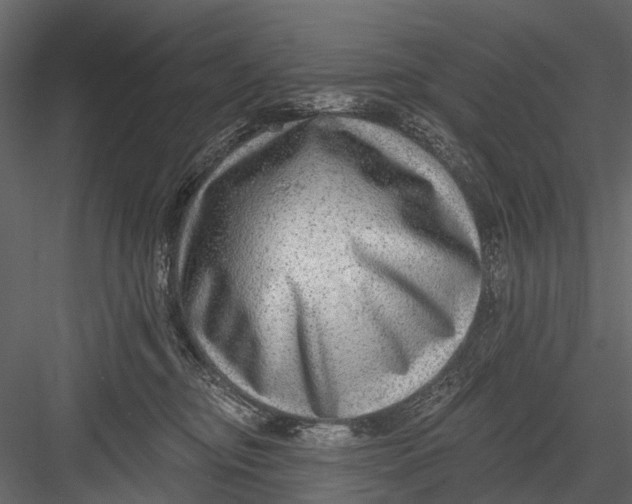X0000082980374200702230040