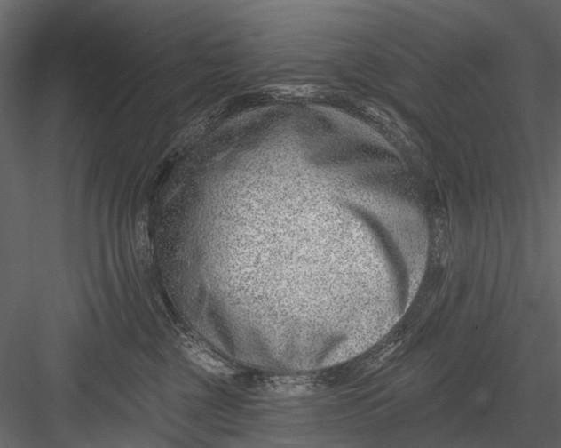 X0000082980377200702230040