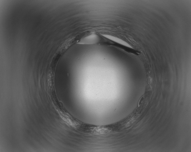 X0000082980379200702230040
