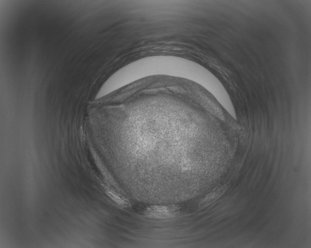 X0000082980381200702230040