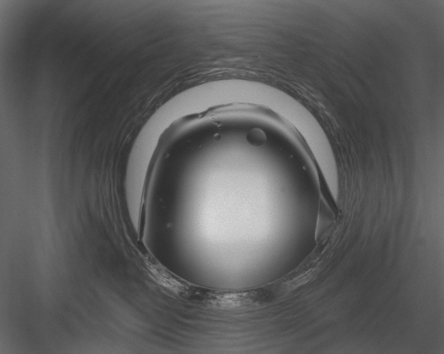 X0000082980382200702230040