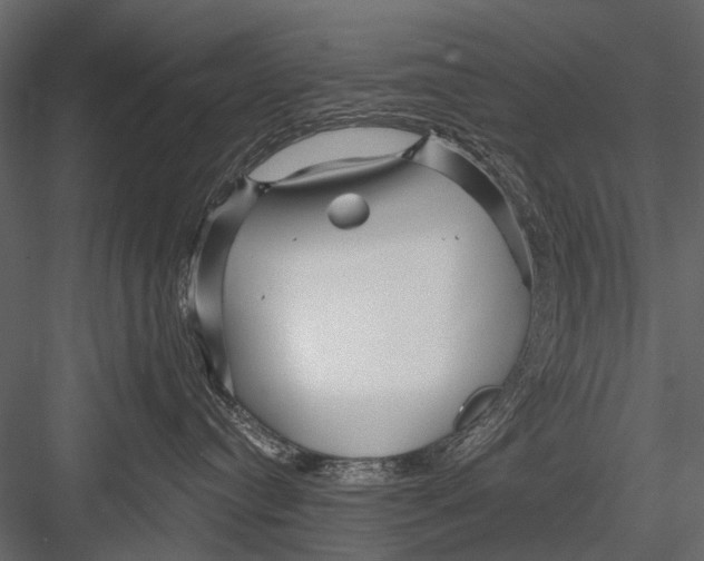 X0000082980384200702230040