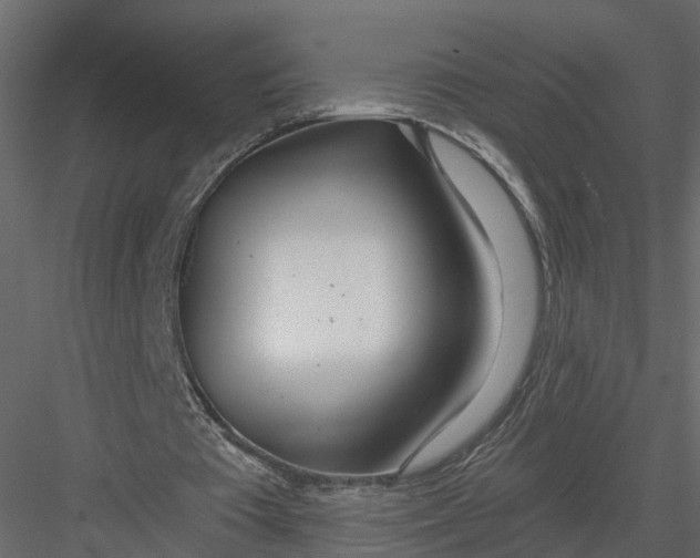 X0000082980385200702230039
