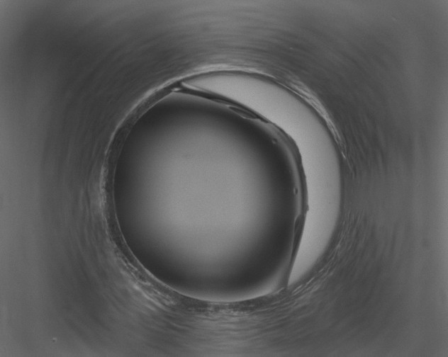 X0000082980387200702230039